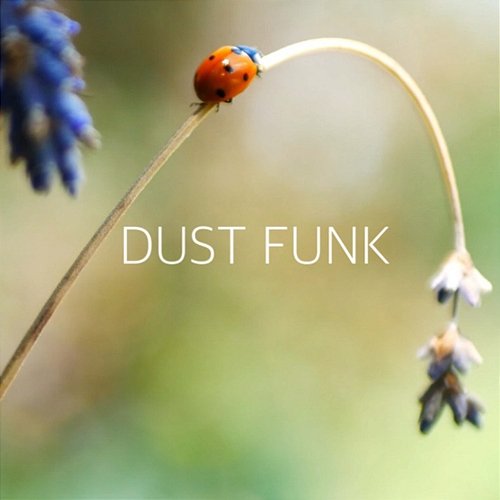 Lady Bird Dust funk