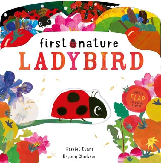 Ladybird Evans Harriet