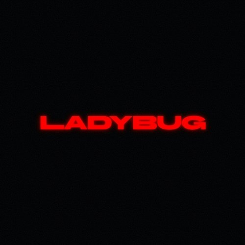 Ladybug Death by Denim