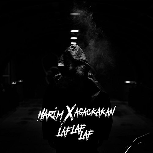 Laf Laf Ağaçkakan, Harim