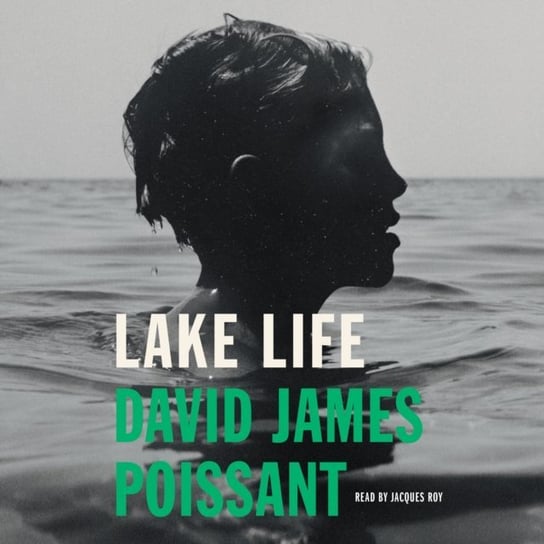 Lake Life Poissant David James