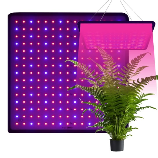 Lampa do wzrostu UV roślin wisząca uprawa roślin PANEL linki 225 LED SLIM EVI