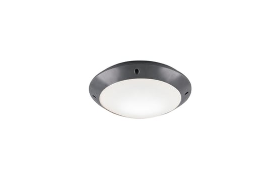 Lampa elewacyjna plafon zewnętrzny CAMARO antracyt RL R60501042 RL