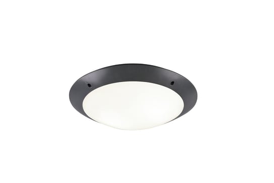 Lampa elewacyjna plafon zewnętrzny CAMARO antracyt RL R60502042 RL