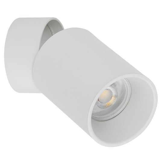 Lampa reflektor spot LOGAN DOWNLIGHT 5373 TK Lighting TK Lighting