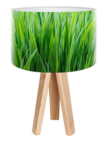 Lampa stołowa MACODESIGN Wiosenna trawa mini-foto-162, 60 W MacoDesign
