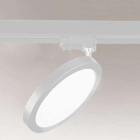 LAMPA sufitowa ITO 8574 Shilo regulowana OPRAWA reflektorek LED 16W 4000K do 3-fazowego systemu szynowego biały Shilo
