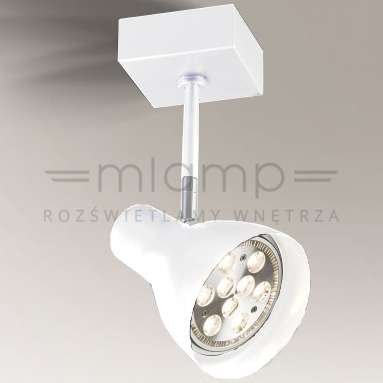 LAMPA sufitowa MIMA 7269 Shilo regulowana OPRAWA metalowy SPOT reflektorowy biały Shilo