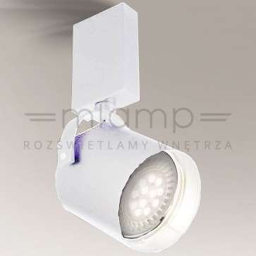 LAMPA sufitowa TENRI 7264 Shilo regulowana OPRAWA reflektorowa TUBA metalowa biała Shilo