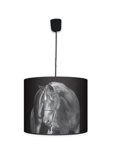 Lampa wisząca mała Black Horse - Konie - Fotolampy Fotolampy