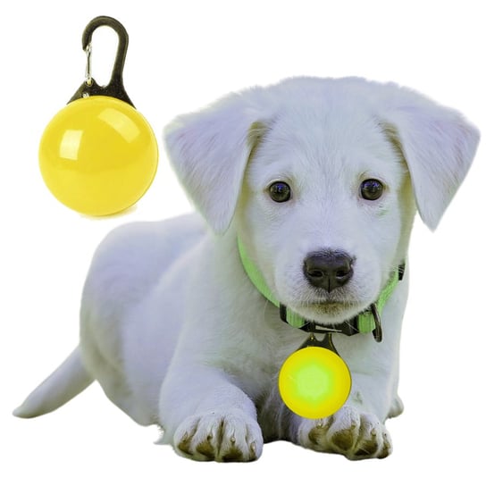 Lampka LED świecąca na obrożę psa zawieszka Inna marka