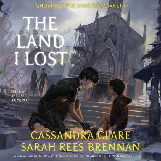 Land I Lost Clare Cassandra, Brennan Sarah Rees