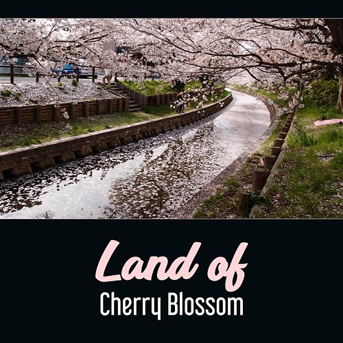 Land of Cherry Blossom – Kyoto Zen Garden, Nature Music, Japanese Harmony, Oriental Buddha Mindfulness Japanese Sweet Dreams Zone