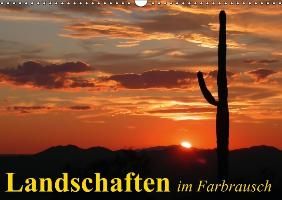 Landschaften im Farbrausch (Wandkalender 2015 DIN A3 quer) Stanzer Elisabeth