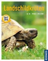 Landschildkröten Rogner Manfred