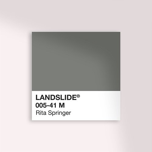 Landslide Rita Springer
