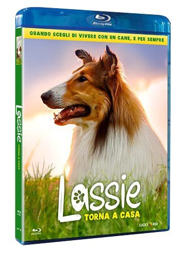 Lassie Come Home (Lassie, wróć!) Olderdissen Hanno