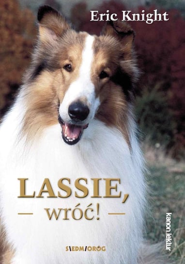 Lassie, wróć! Knight Eric