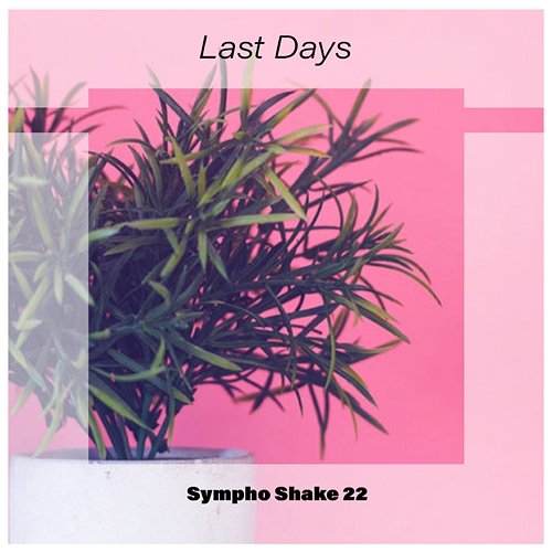 Last Days Sympho Shake 22 Various Artists