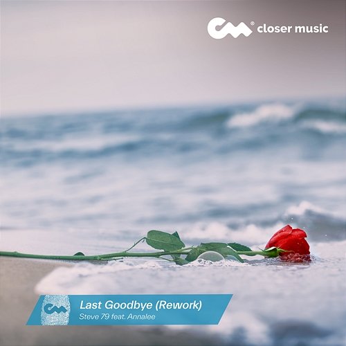 Last Goodbye Steve 79