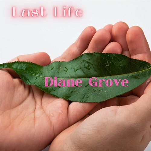 Last Life Diane Grove
