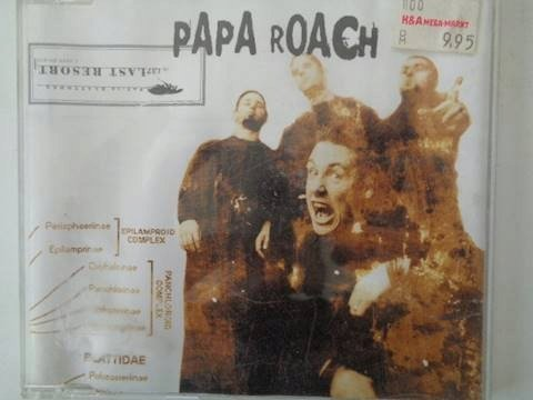 Last Resort Papa Roach