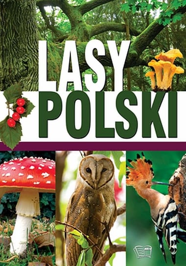Lasy Polski Opracowanie zbiorowe