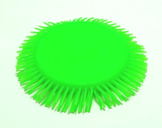 Latający dysk wodny - zielony Grafix