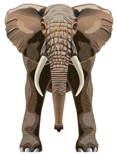Latawiec BRAINSTORM - WNS SkyZoo 40x30" Nylon Elephant Brainstorm