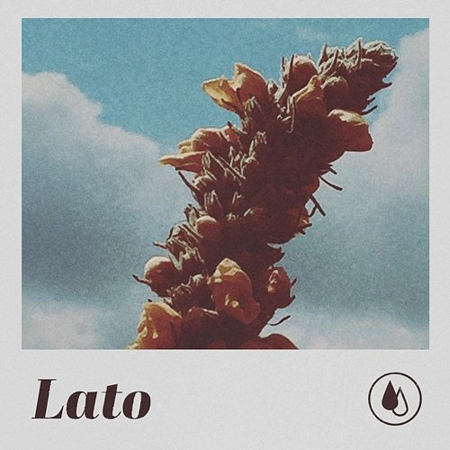 Lato TUGA