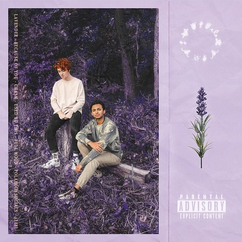Lavender Gold Revere