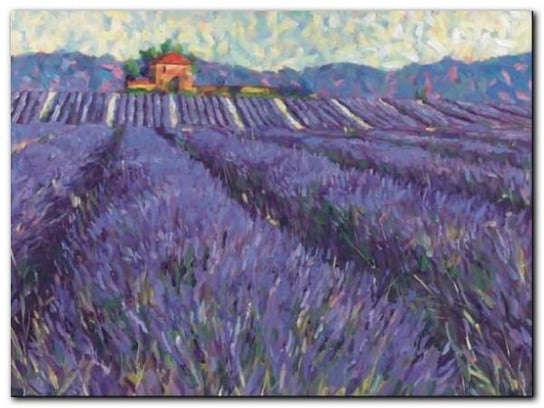 Lavender Fields I plakat obraz 80x60cm Wizard+Genius
