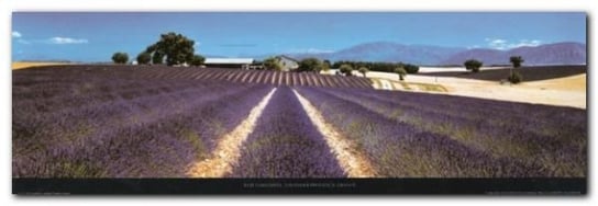 Lavender Provance plakat obraz 95x33cm Wizard+Genius