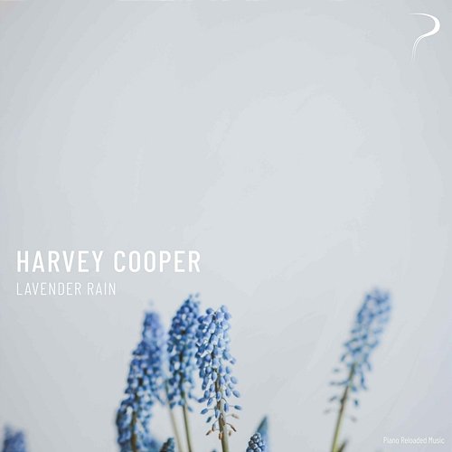 Lavender Rain Harvey Cooper