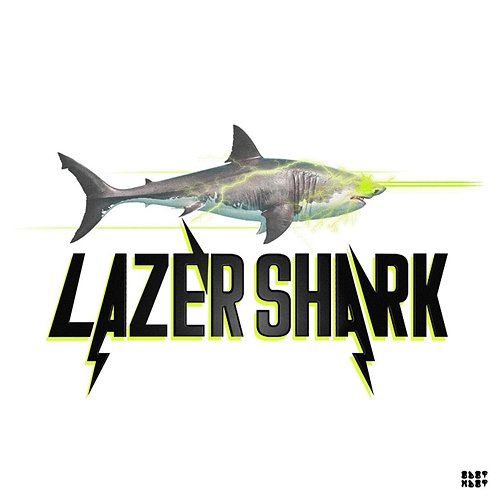Lazer Shark ODOTMDOT SURFBOARD STREATZ