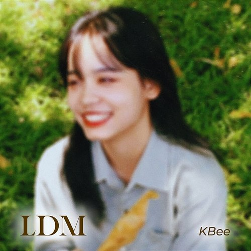 LDM Kbee