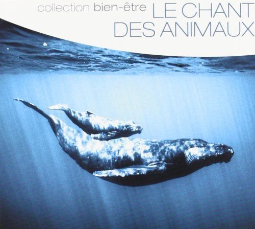 Le Chant Des Animaux Various Artists