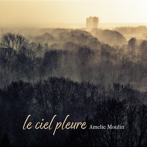 le ciel pleure Amelie Moulin