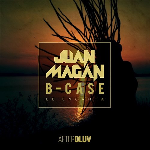 Le Encanta Juan Magán, B-Case