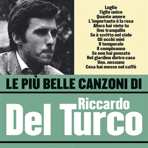 Le più belle canzoni di Riccardo Del Turco Riccardo Del Turco