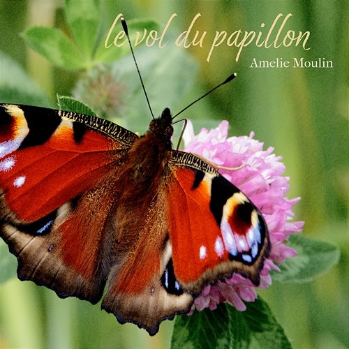 le vol du papillon Amelie Moulin