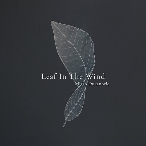 Leaf In The Wind Mirko Dukanovic
