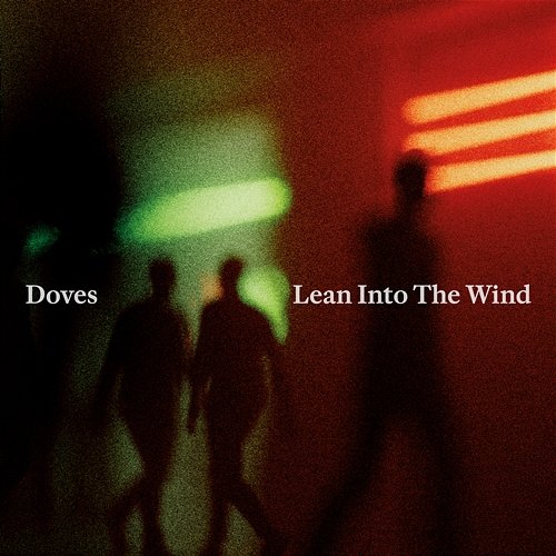 Lean Into The Wind Doves