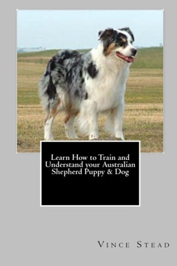 Learn How to Train and Understand your Australian Shepherd Puppy & Dog Stead Vince
