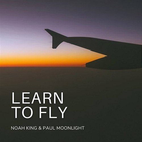 Learn to Fly Noah King, Paul Moonlight