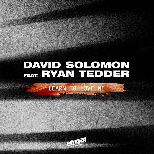 Learn To Love Me David Solomon feat. Ryan Tedder