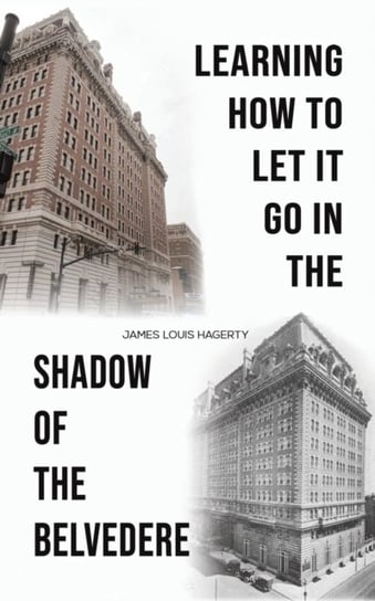 Learning How to Let It Go in the Shadow of the Belvedere austin macauley publishers llc