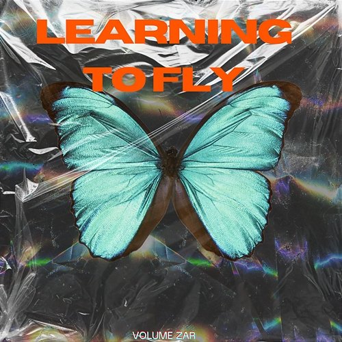 Learning to Fly VOLUME ZAR