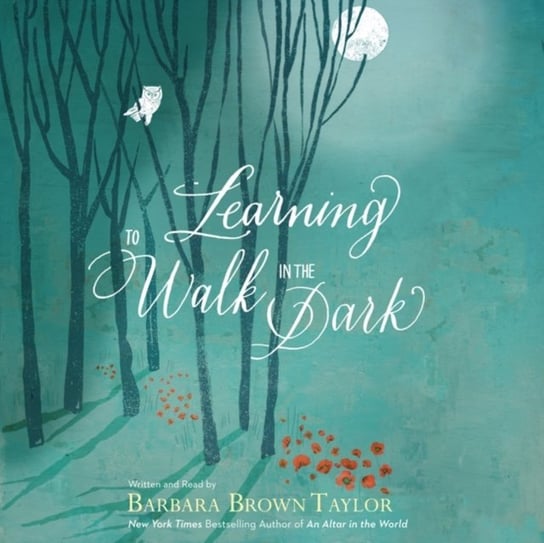 Learning to Walk in the Dark Taylor Barbara Brown