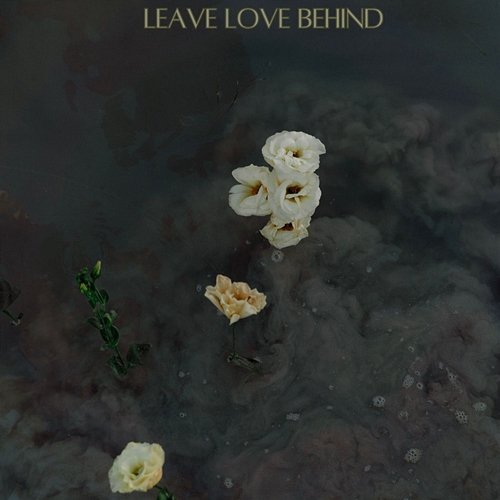 Leave Love Behind Hello Darling